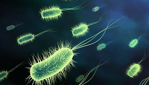 1670475B09E08114890B6596F9567091