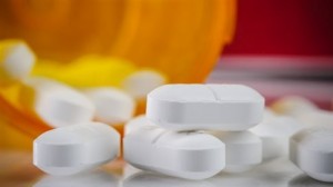 831C7B265F26CEE1ECD66E6C8F6AC4C5