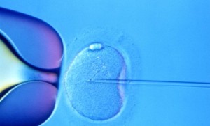 ivf-660x400