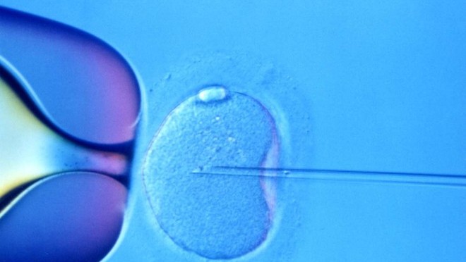 ivf-660x400
