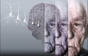 2014041612053629-622x400